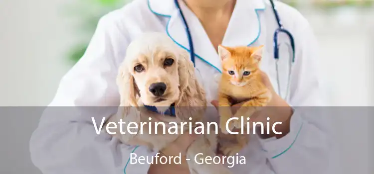 Veterinarian Clinic Beuford - Georgia