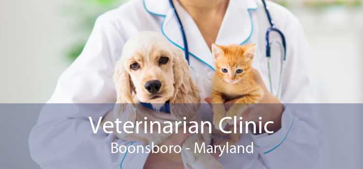 Veterinarian Clinic Boonsboro - Maryland