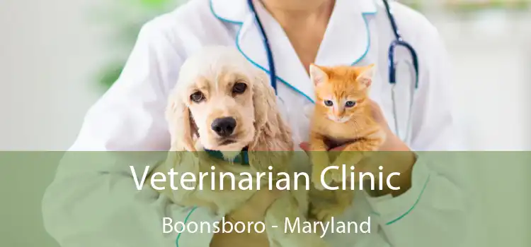 Veterinarian Clinic Boonsboro - Maryland