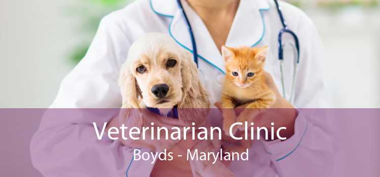 Veterinarian Clinic Boyds - Maryland