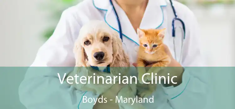 Veterinarian Clinic Boyds - Maryland