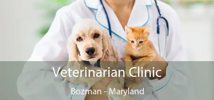 Veterinarian Clinic Bozman - Maryland