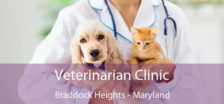 Veterinarian Clinic Braddock Heights - Maryland