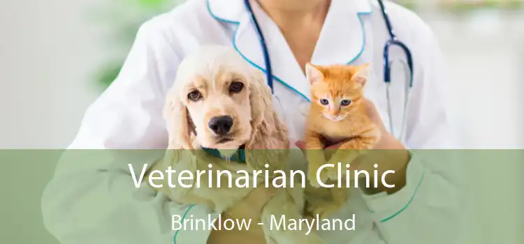 Veterinarian Clinic Brinklow - Maryland