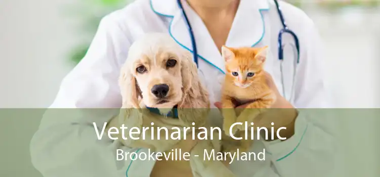Veterinarian Clinic Brookeville - Maryland