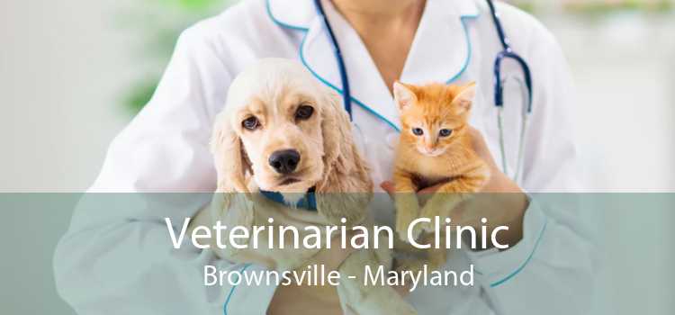 Veterinarian Clinic Brownsville - Maryland