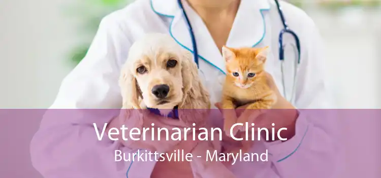 Veterinarian Clinic Burkittsville - Maryland