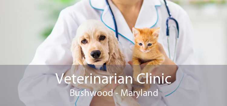 Veterinarian Clinic Bushwood - Maryland