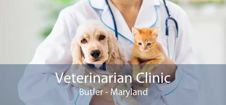 Veterinarian Clinic Butler - Maryland