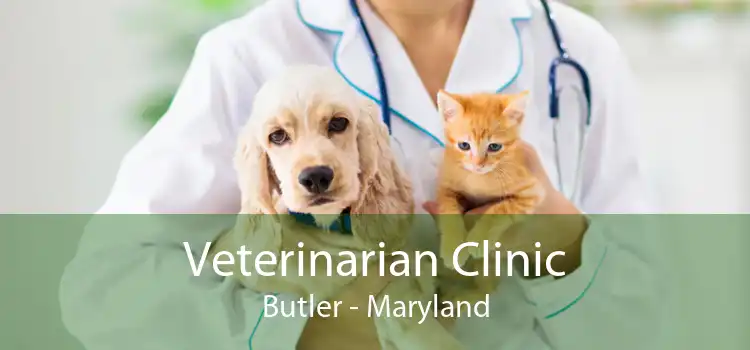 Veterinarian Clinic Butler - Maryland