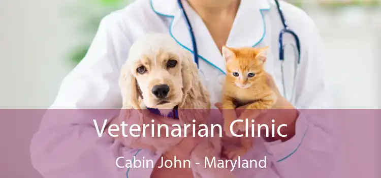 Veterinarian Clinic Cabin John - Maryland