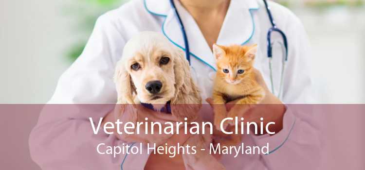 Veterinarian Clinic Capitol Heights - Maryland