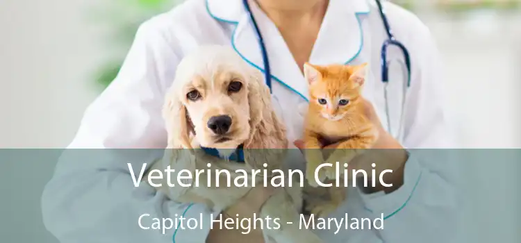 Veterinarian Clinic Capitol Heights - Maryland