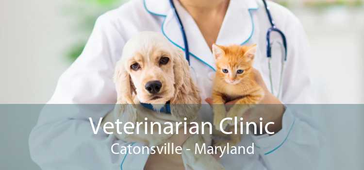 Veterinarian Clinic Catonsville - Maryland