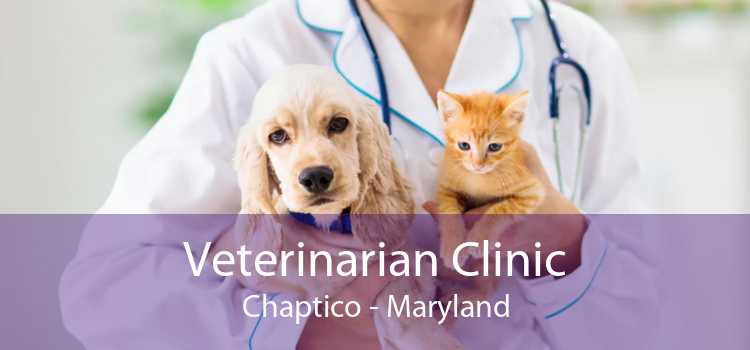 Veterinarian Clinic Chaptico - Maryland