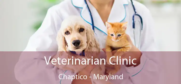 Veterinarian Clinic Chaptico - Maryland