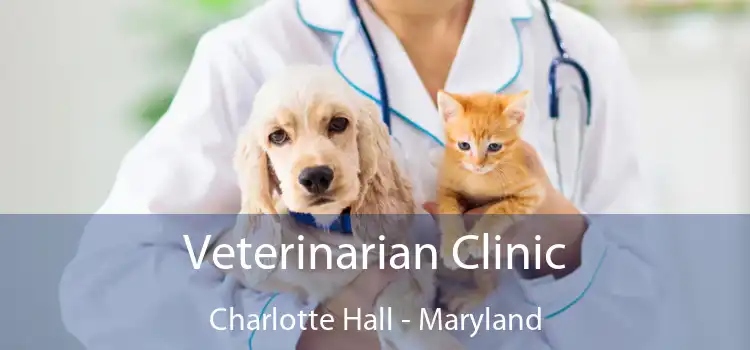 Veterinarian Clinic Charlotte Hall - Maryland