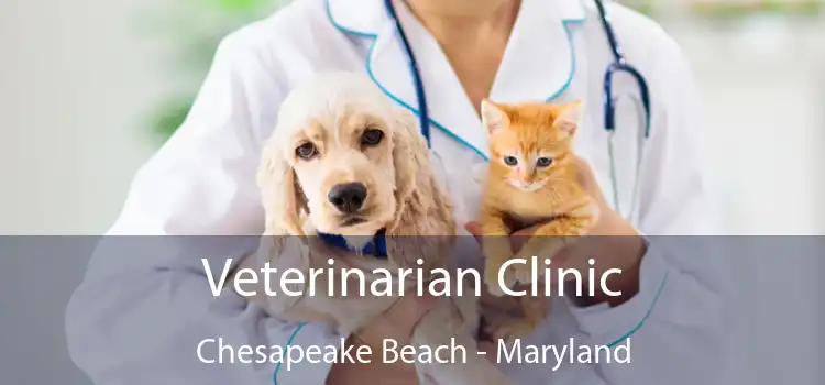 Veterinarian Clinic Chesapeake Beach - Maryland