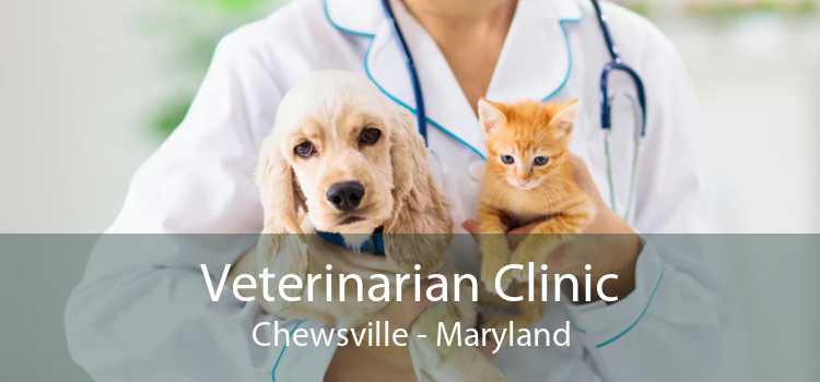 Veterinarian Clinic Chewsville - Maryland