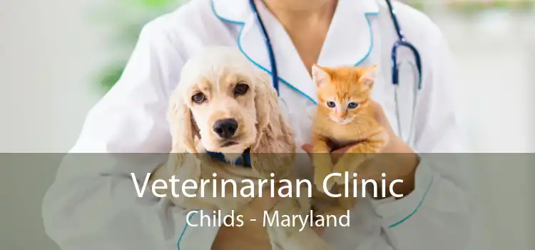 Veterinarian Clinic Childs - Maryland