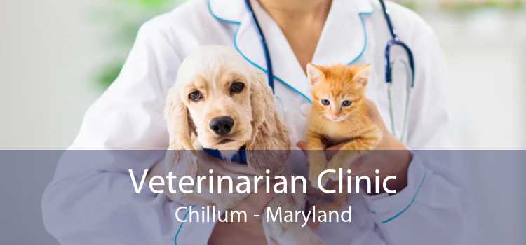Veterinarian Clinic Chillum - Maryland
