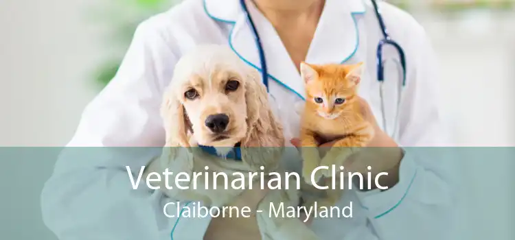 Veterinarian Clinic Claiborne - Maryland