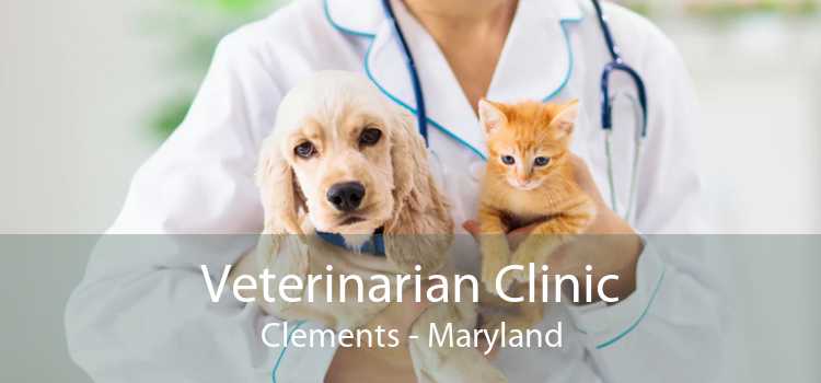 Veterinarian Clinic Clements - Maryland