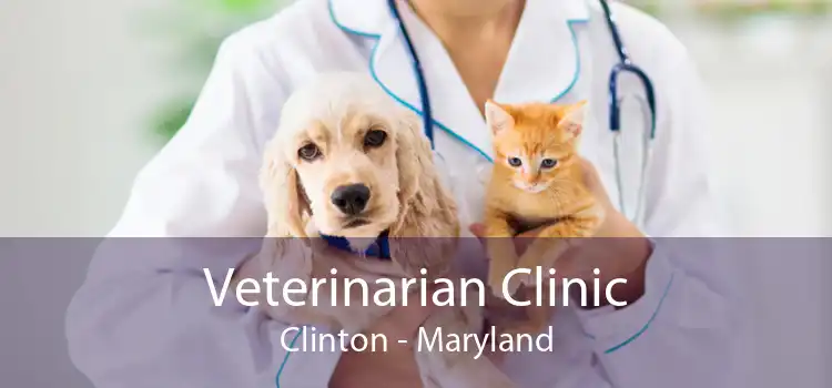 Veterinarian Clinic Clinton - Maryland