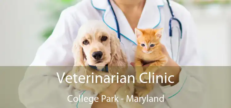 Veterinarian Clinic College Park - Maryland