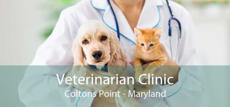 Veterinarian Clinic Coltons Point - Maryland