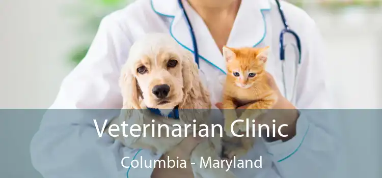 Veterinarian Clinic Columbia - Maryland