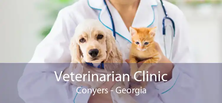 Veterinarian Clinic Conyers - Georgia