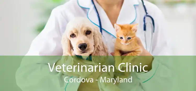 Veterinarian Clinic Cordova - Maryland