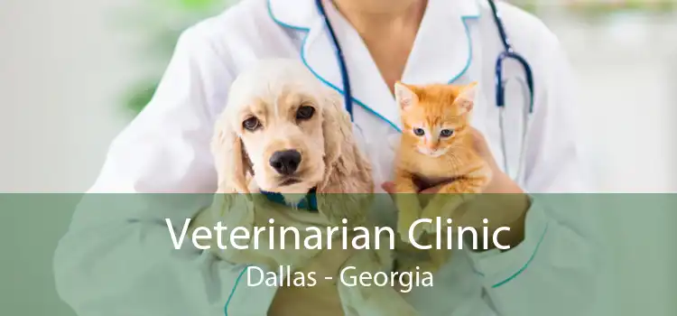 Veterinarian Clinic Dallas - Georgia