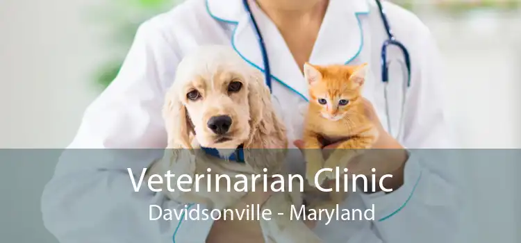 Veterinarian Clinic Davidsonville - Maryland