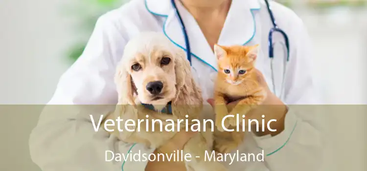 Veterinarian Clinic Davidsonville - Maryland