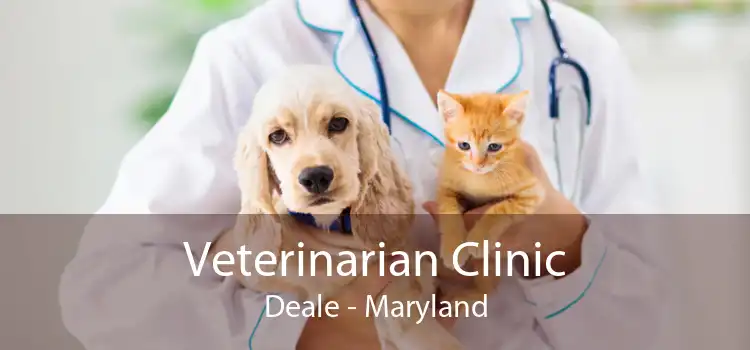 Veterinarian Clinic Deale - Maryland