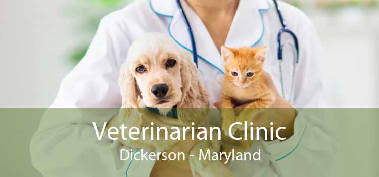 Veterinarian Clinic Dickerson - Maryland