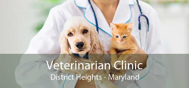 Veterinarian Clinic District Heights - Maryland