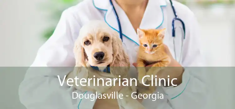 Veterinarian Clinic Douglasville - Georgia