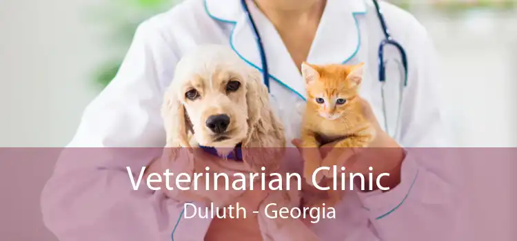 Veterinarian Clinic Duluth - Georgia