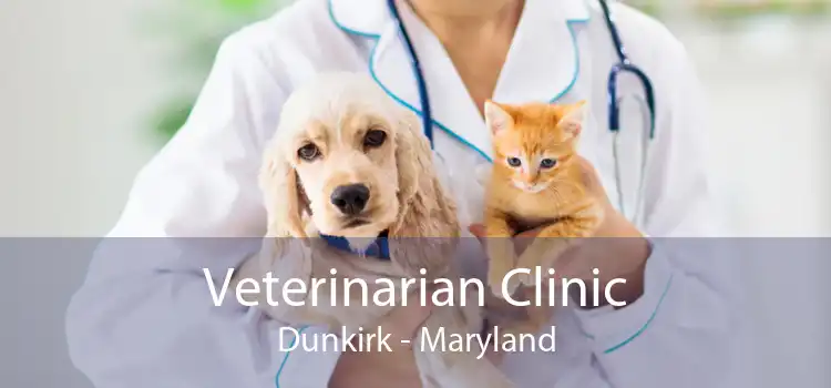 Veterinarian Clinic Dunkirk - Maryland