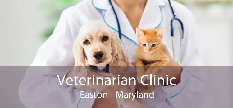 Veterinarian Clinic Easton - Maryland