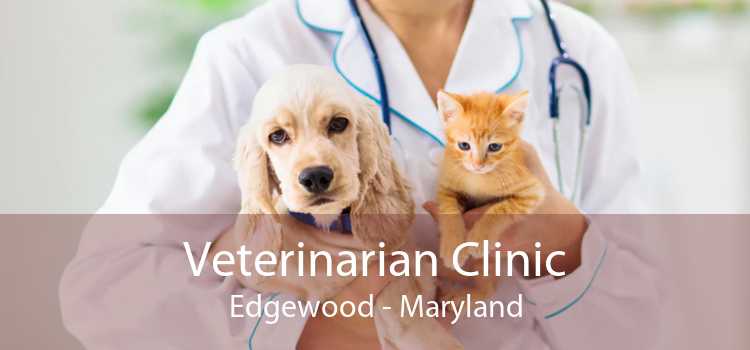 Veterinarian Clinic Edgewood - Maryland