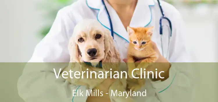 Veterinarian Clinic Elk Mills - Maryland