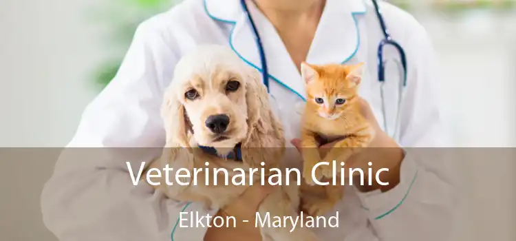 Veterinarian Clinic Elkton - Maryland