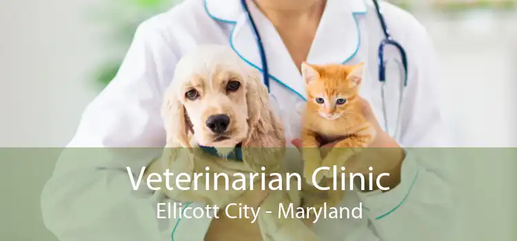 Veterinarian Clinic Ellicott City - Maryland