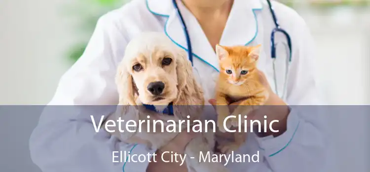 Veterinarian Clinic Ellicott City - Maryland