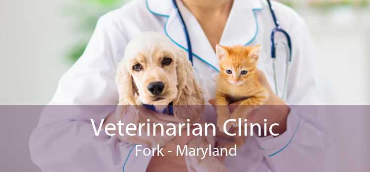Veterinarian Clinic Fork - Maryland