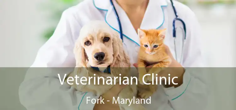 Veterinarian Clinic Fork - Maryland